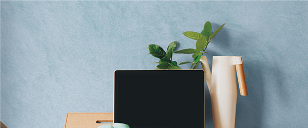 進口涂料系列-臻彩萊克斯